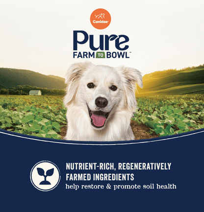Canidae | Pure 無穀物海洋三文魚+甜薯成犬狗乾糧 - SugarPet 寵甜