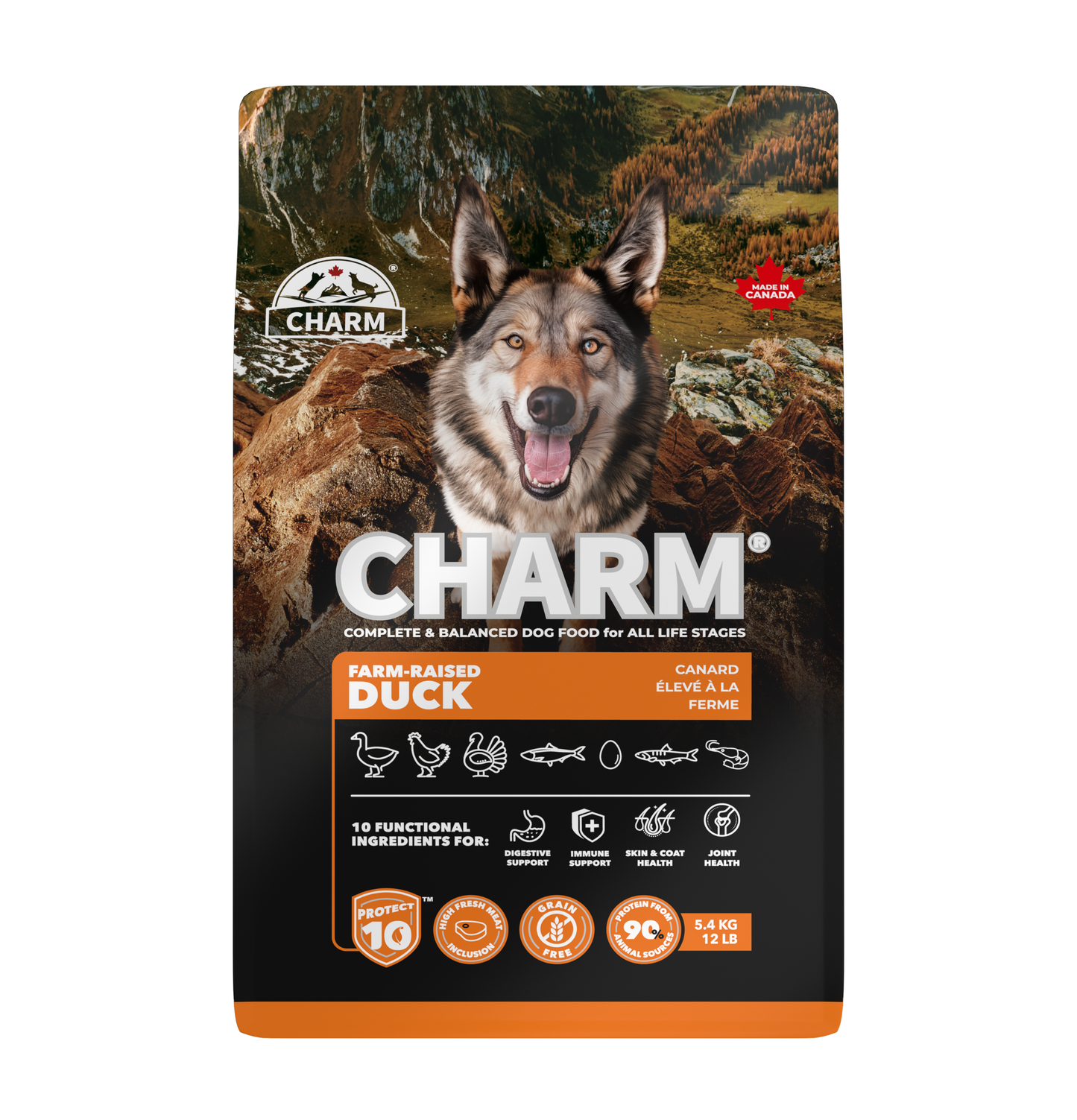 Charm | 無穀物農場鴨狗乾糧