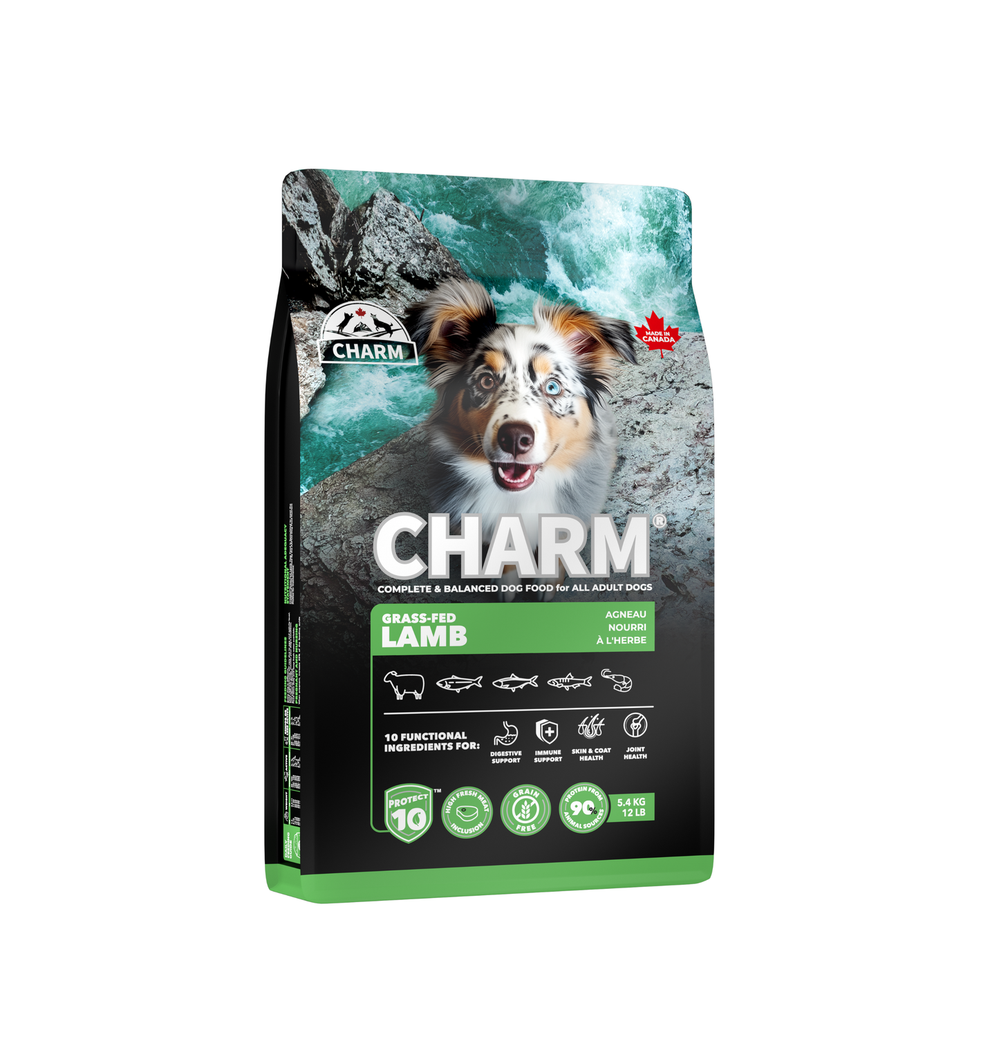 Charm | 無穀物草飼羊狗乾糧