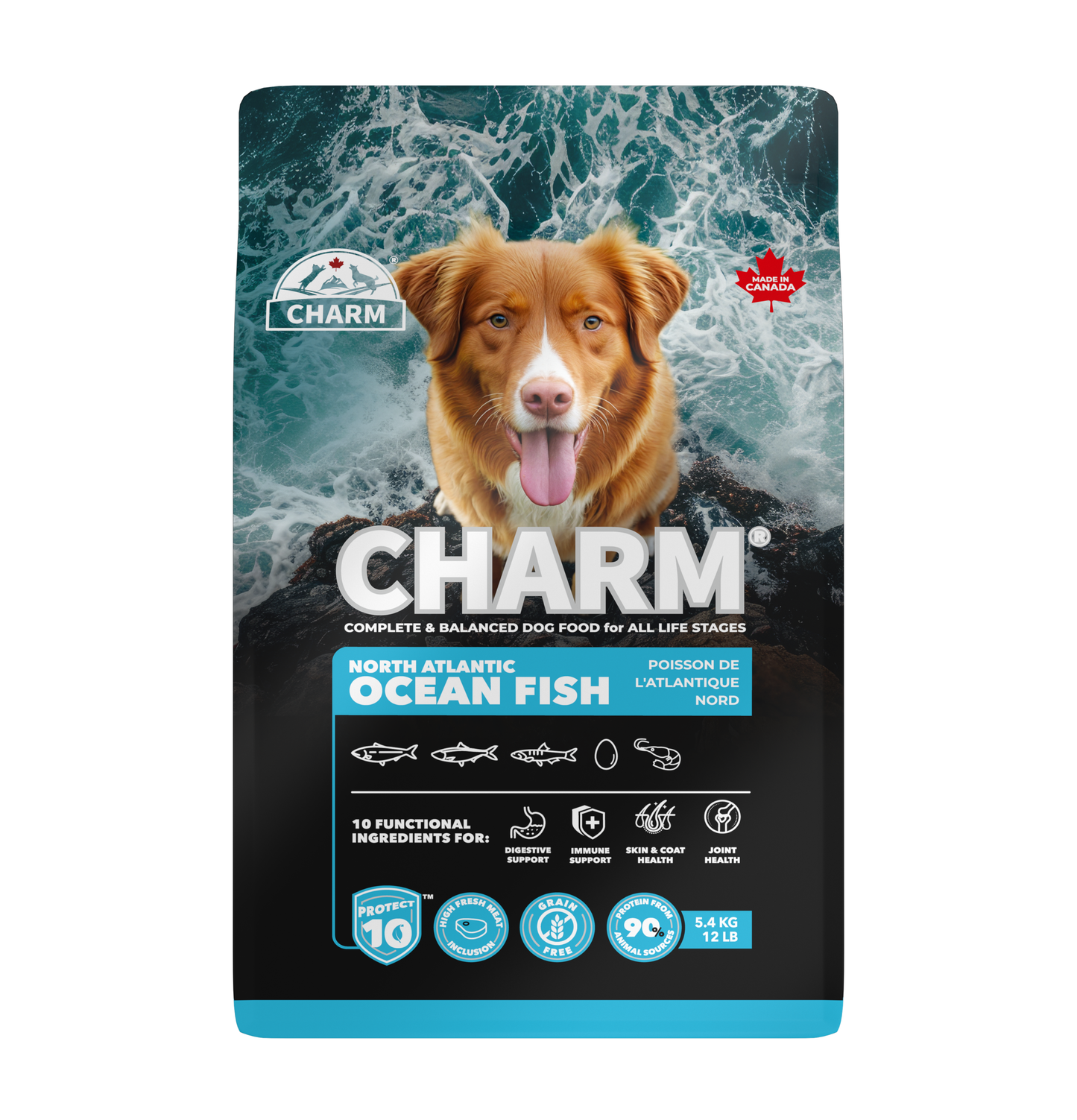 Charm | 無穀物海洋魚狗乾糧