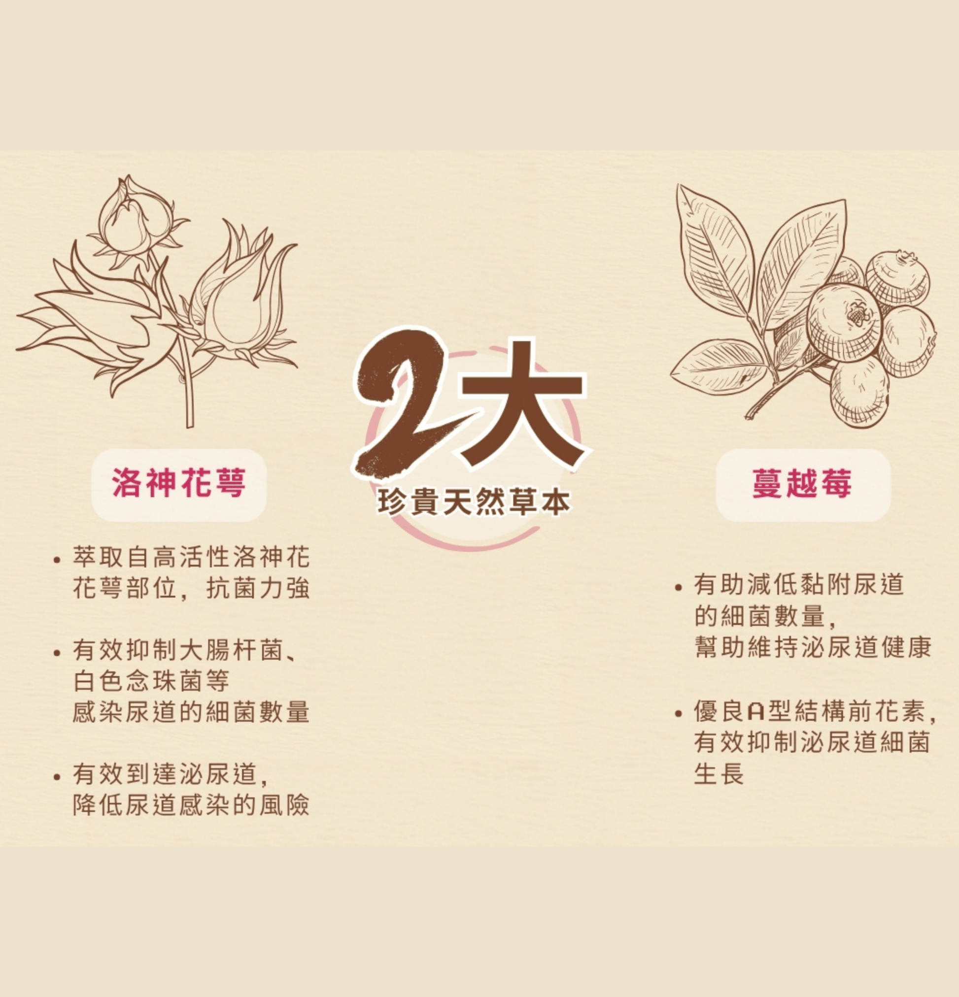 Cosset | 洛神花萼泌尿護理配方 30包 - 1g/包（貓狗食用） - SugarPet