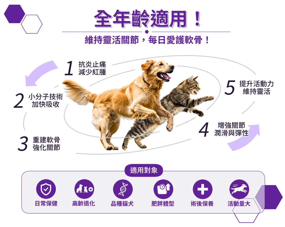 Dr. Pet | 產品名稱 DR.pet 維骨素修護軟骨天然配方（30 包 x 1g）（貓狗食用） - SugarPet 寵甜