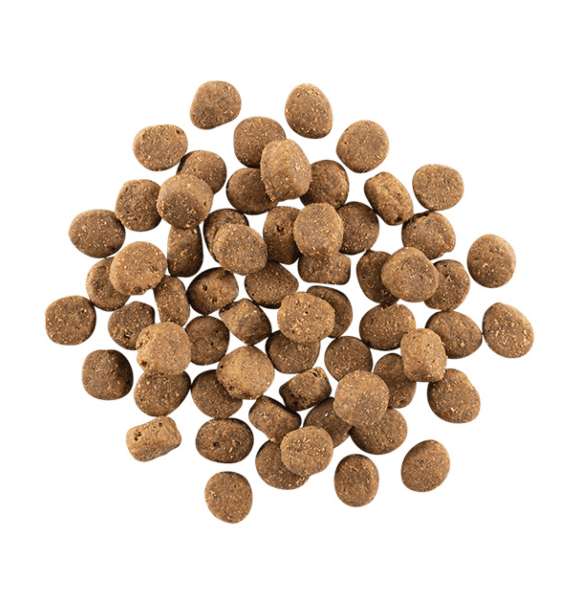 Go! Solutions | 活力營養系列 - 無穀物三文魚+鱈魚全狗糧狗乾糧 22lb - SugarPet 寵甜