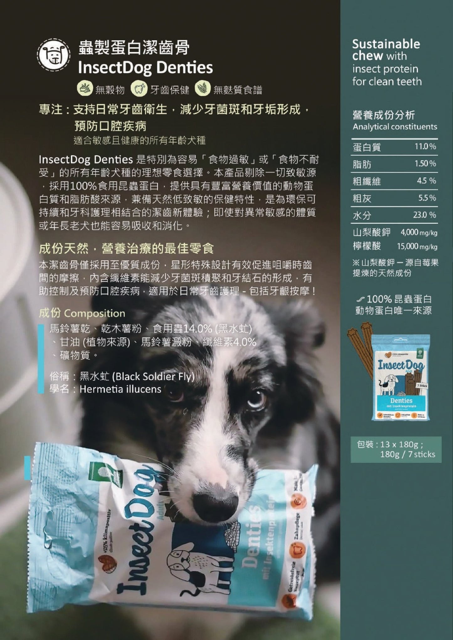 Green PetFood | InsectDog Denties 蟲製蛋白潔齒骨 180g - SugarPet 寵甜