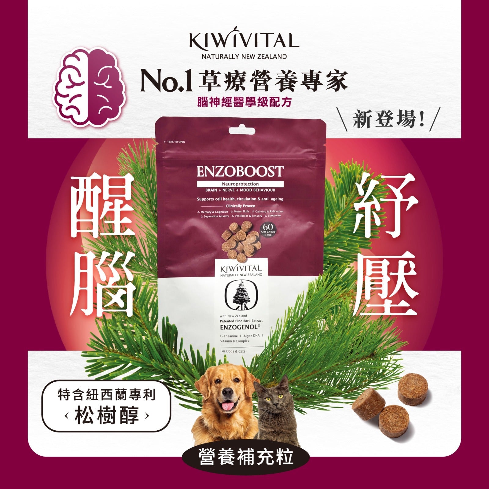 Kiwivital | 松樹醇腦神經醫學級配方保健粉 120g（貓狗食用） - SugarPet
