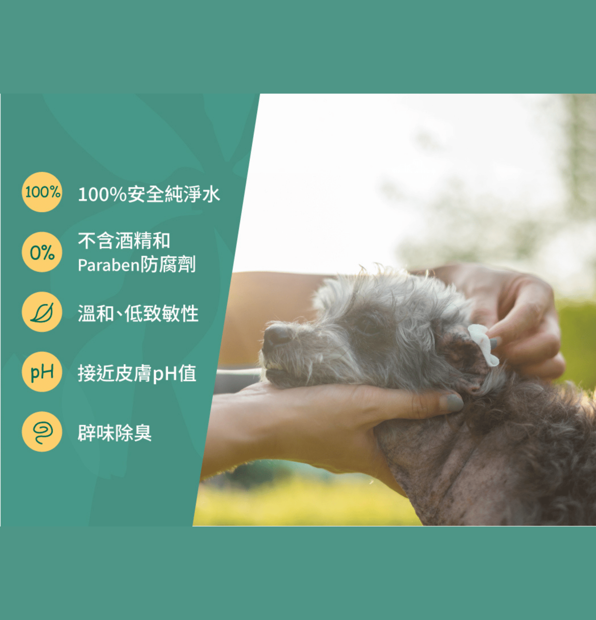 Nurture Pro | AG+ 銀離子寵物親膚消毒濕紙巾（10張/包） （貓狗適用） - SugarPet 寵甜