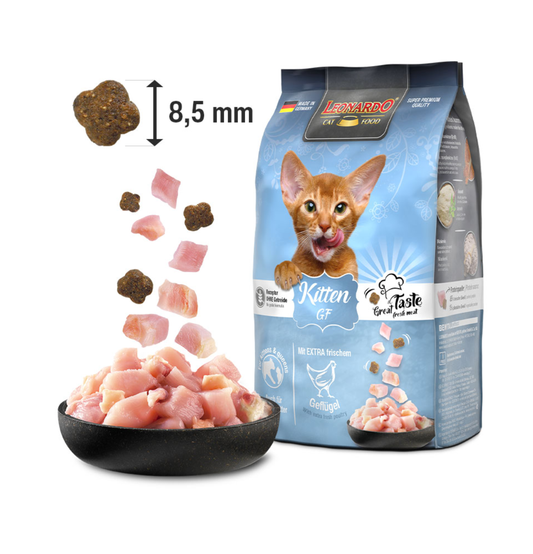 Leonardo & Belcando Cat Food | 無穀物幼貓糧