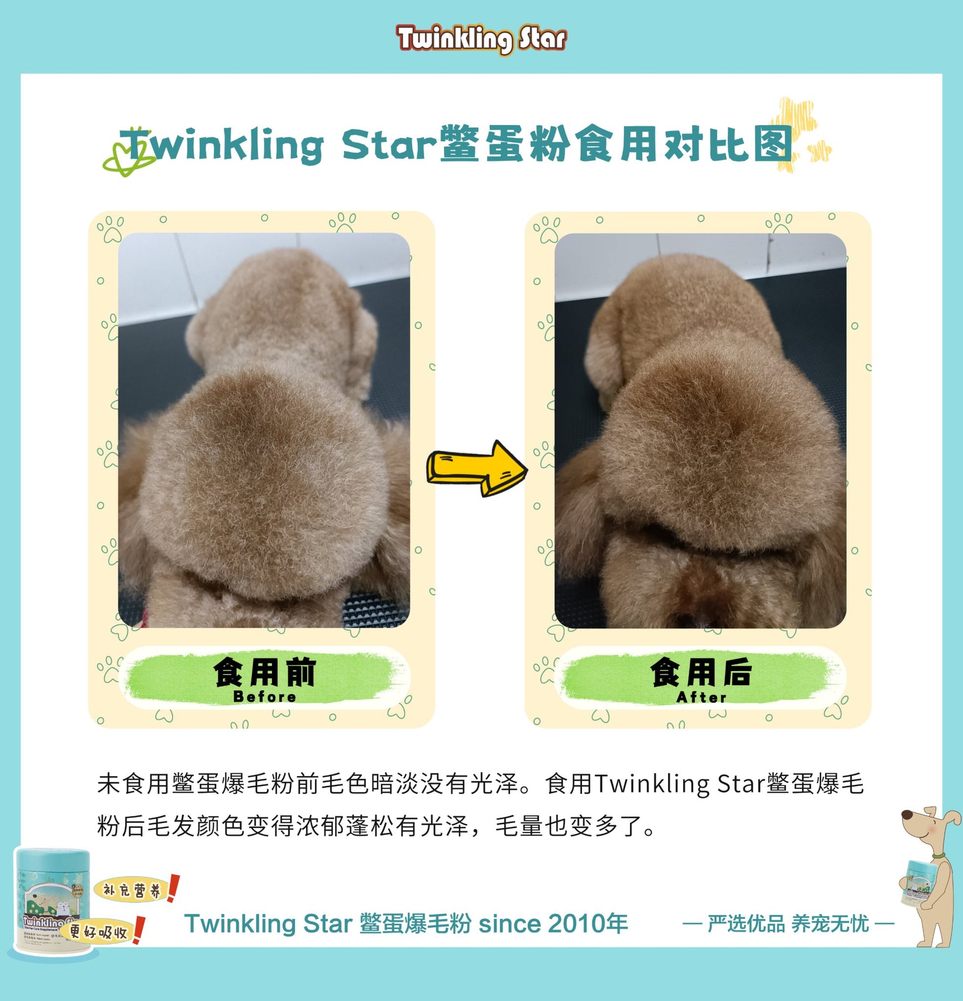 Twinkling Star | 鱉蛋爆毛粉 200g - SugarPet